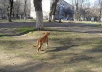 Создать мем авыаыв