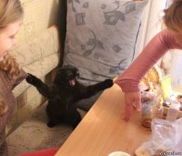 Создать мем Всем оставаться на своих местах