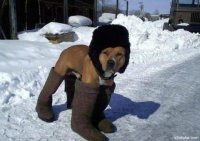 Создать мем ff