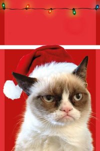 Создать комикс  Grumpy cat new year