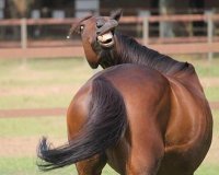 Создать мем hhhhhhhh