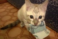 Создать мем на вот хозяин