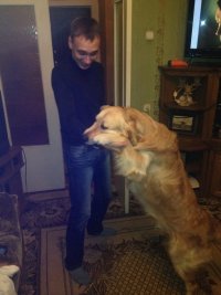 Создать мем Олег и собака