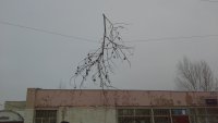 Создать мем Оо