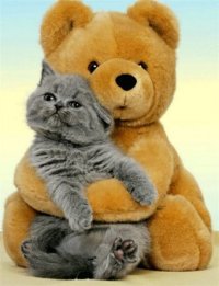 Создать мем я одна такая