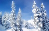Создать мем Зима