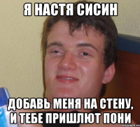 Я Настя Сисин Добавь меня на стену, и тебе пришлют пони