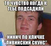 То чувство когда к тебе подсадили Нинич по кличке "ливийский скунс"