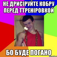 не дрисіруйте кобру перед ттреніровкой бо буде погано