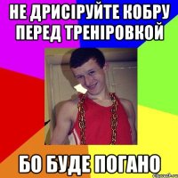 не дрисіруйте кобру перед треніровкой бо буде погано