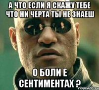 А что если я скажу тебе что ни черта ты не знаеш о боли е сентиментах ?