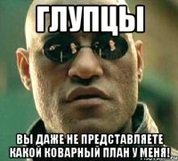 глупцы вы даже не представляете какой коварный план у меня!