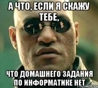 А что, если я скажу тебе, Что домашнего задания по информатике нет