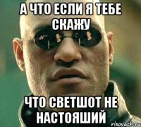 А ЧТО ЕСЛИ Я ТЕБЕ СКАЖУ ЧТО СВЕТШОТ НЕ НАСТОЯШИЙ