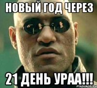 Новый год через 21 день ураа!!!