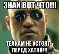 Знай вот что!!! Телкам не устоять перед хатой!!!