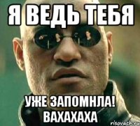 Я ведь тебя Уже запомнла! Вахахаха