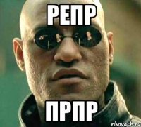 репр прпр