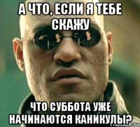 а что, если я тебе скажу что суббота уже начинаются каникулы?