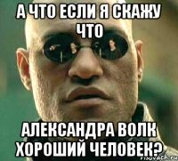 А что если я скажу что Александра Волк хороший человек?