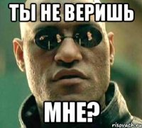 ты не веришь мне?