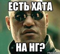 Есть хата На нг?