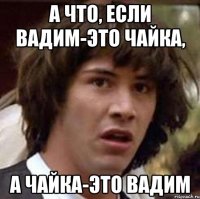 А ЧТО, ЕСЛИ ВАДИМ-ЭТО ЧАЙКА, А ЧАЙКА-ЭТО ВАДИМ