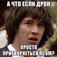 А что если дрон просто притворяеться псом?