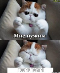 новые посты