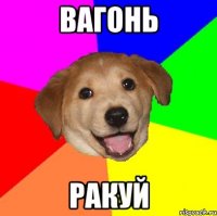 ВАГОНЬ РАКУЙ