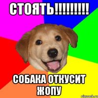 стоять!!!!!!!!! собака откусит жопу