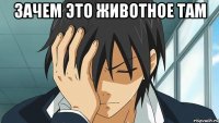 зачем это животное там 