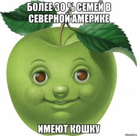 Более 30 % семей в Северной Америке имеют кошку