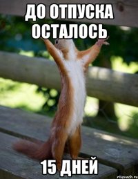 до отпуска осталось 15 ДНЕЙ