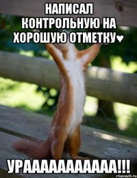 Написал контрольную на хорошую отметку♥ Урааааааааааа!!!