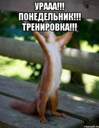 УРААА!!! Понедельник!!! Тренировка!!! 