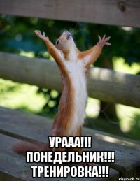  УРААА!!! Понедельник!!! Тренировка!!!