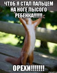 ЧТОБ Я СТАЛ ПАЛьцем на ноге лысого ребенка!!!!!! ОРЕХИ!!!!!!!