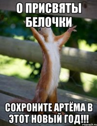 о присвяты белочки сохроните Артёма в этот Новый Год!!!