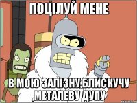 ПОЦІЛУЙ МЕНЕ В МОЮ ЗАЛІЗНУ,БЛИСКУЧУ ,МЕТАЛЕВУ ДУПУ