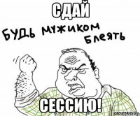 сдай сессию!