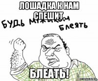 Лошадка к нам спешит, блеать!
