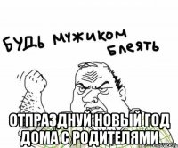  отпразднуй новый год дома с родителями