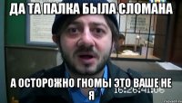 да та палка была сломана а осторожно гномы это ваше не я