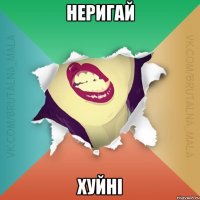 НЕРИГАЙ ХУЙНІ