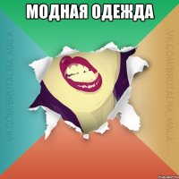 Модная одежда 