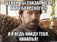 Щенок, ты сказал, усы, как у Боярского!? А я ведь найду тебя, каналья!