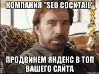 Компания "SEO Cocktail" Продвинем Яндекс в топ вашего сайта