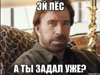 Эй пёс А ты задал уже?