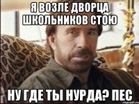Я возле дворца школьников стою Ну где ты Нурда? ПЕС
